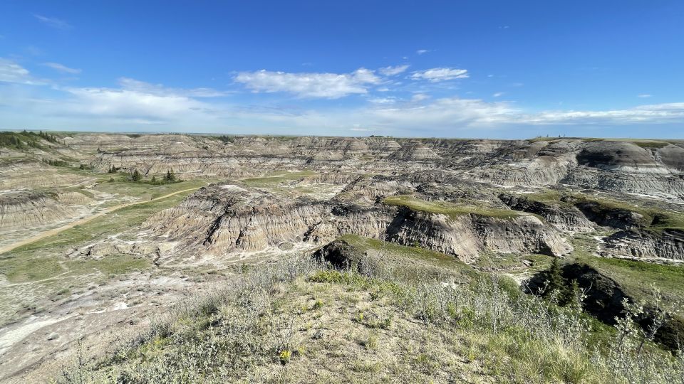 From Calgary: Canadian Badlands Private Geological Tour - Tour Features