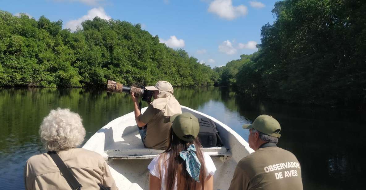 From Campeche: Mamantel River Tour - Activity Highlights