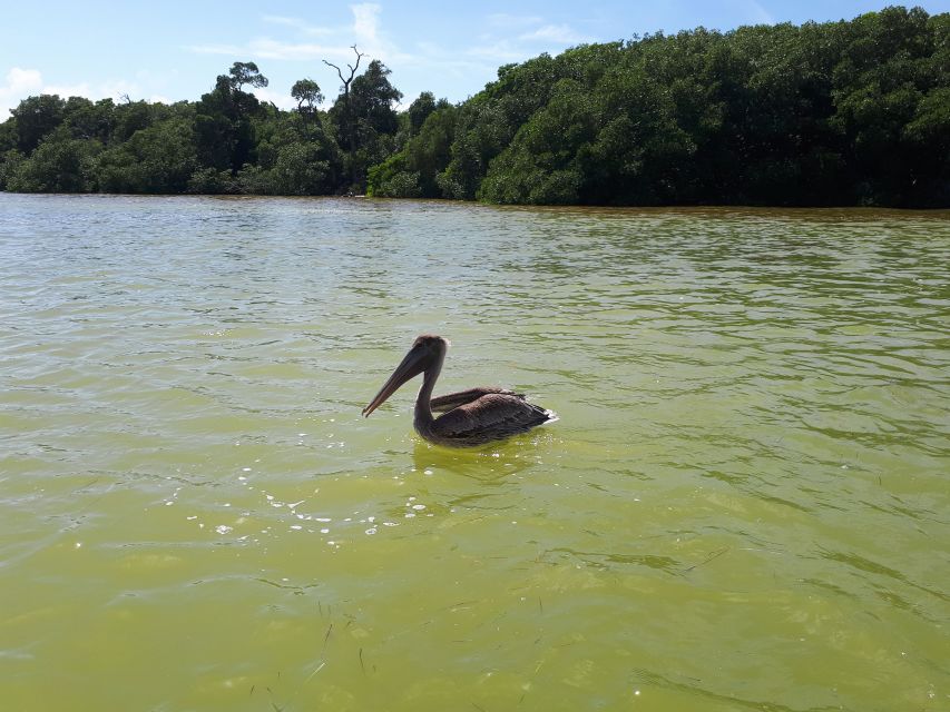 From Cancún: Day Trip to Las Coloradas Pink Lakes - Customer Ratings