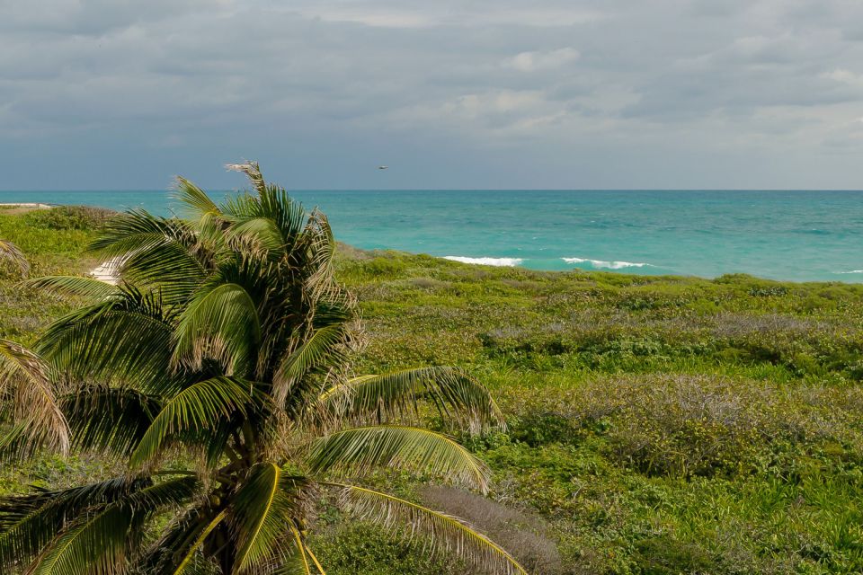 From Cancun: Isla Contoy & Isla Mujeres Tour - Experience Highlights