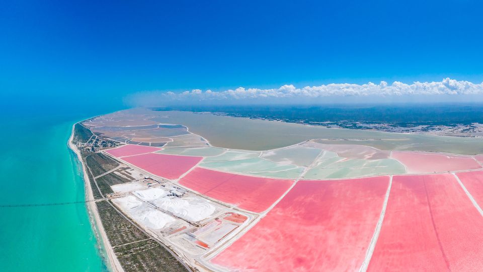 From Cancun: Las Coloradas - Safari & Salt Mining Day Trip - Included Services