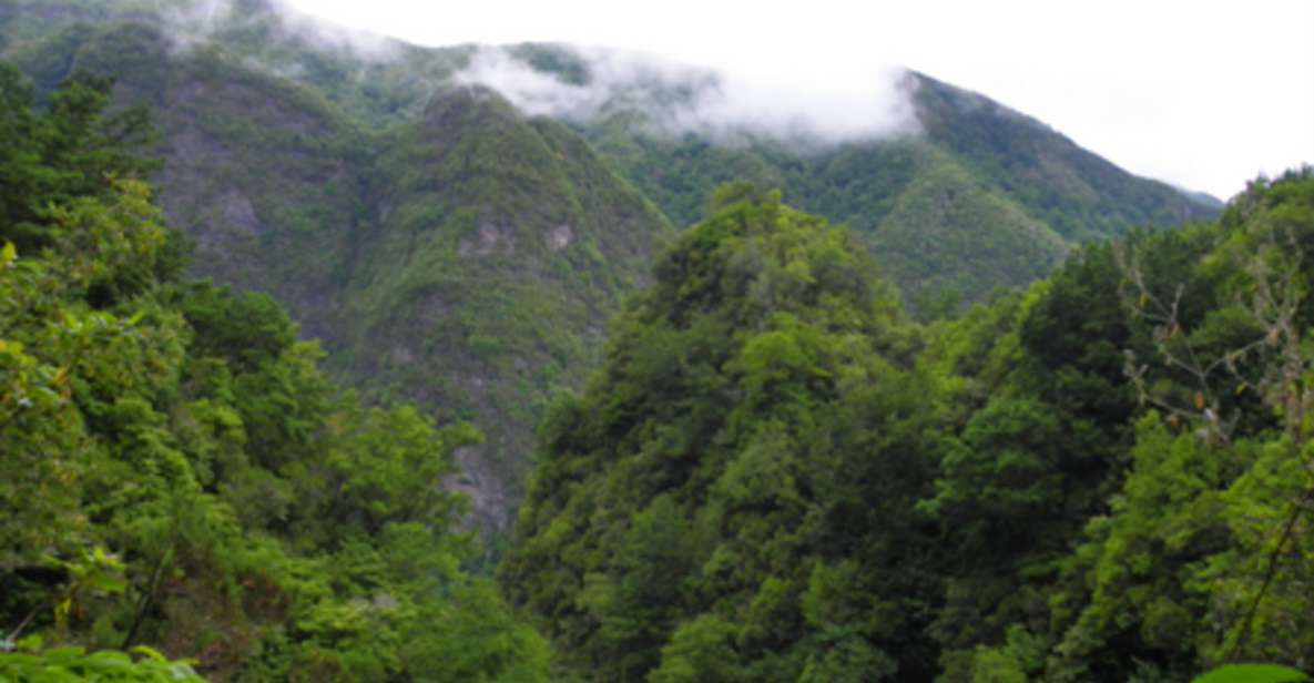 From Caniço/Funchal: Levada Caldeirão Verde Hiking Trip - Duration & Logistics