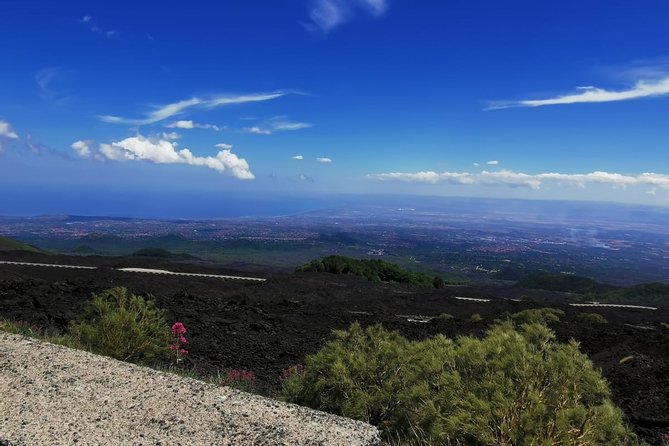 From Catania: Private Mt. Etna Trekking and Pic-Nic - Additional Traveler Information