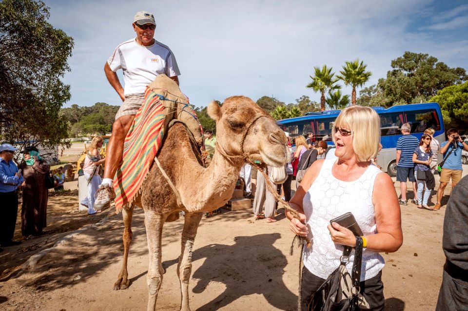 From Costa Del Sol: Tangier Full-Day Tour by Ferry - Practical Logistics for the Tour