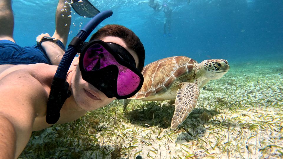 From Cozumel: Snorkel Private Charter to El Cielo & Cielito - Booking and Payment Process