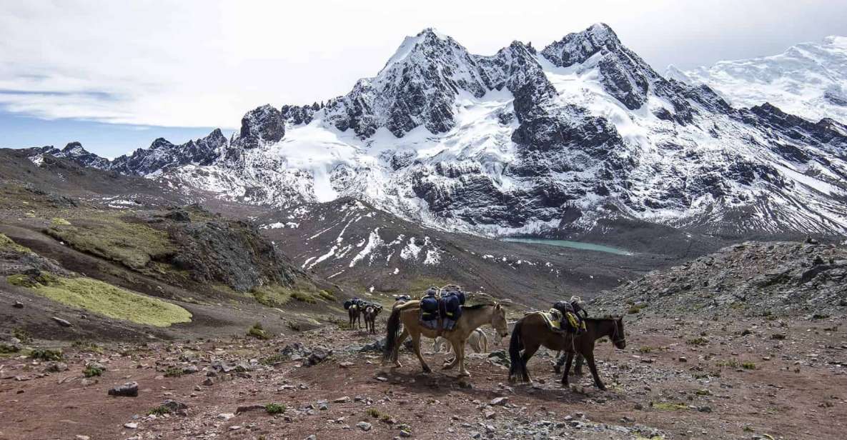 From Cusco: Ausangate Route - 7 Lagoons Tour Meals - Experience Inclusions and Highlights