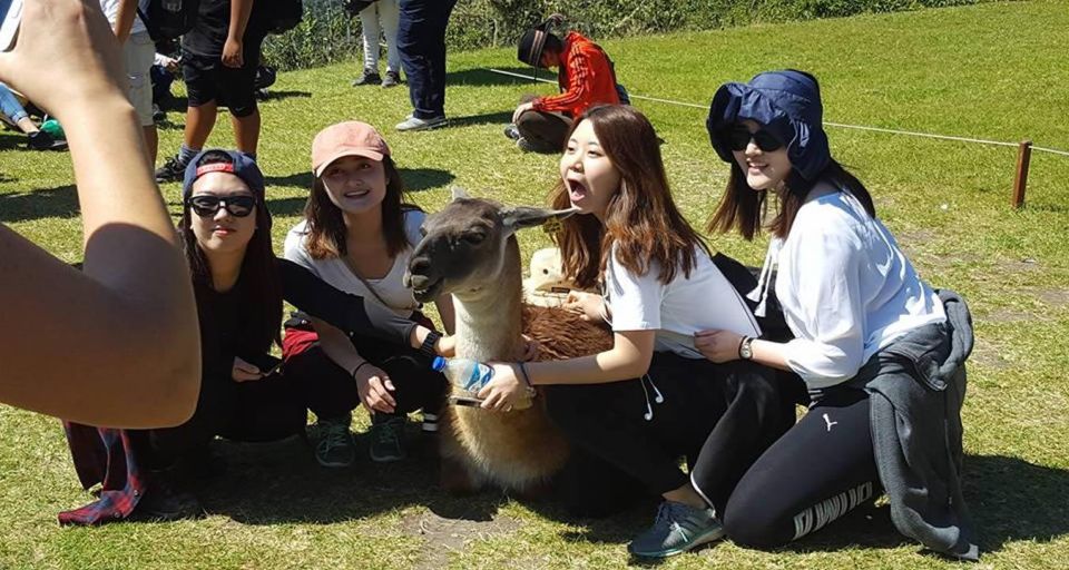 From Cusco: City Tour and Visit to Four Archaeological Sites - Expert Guided Exploration