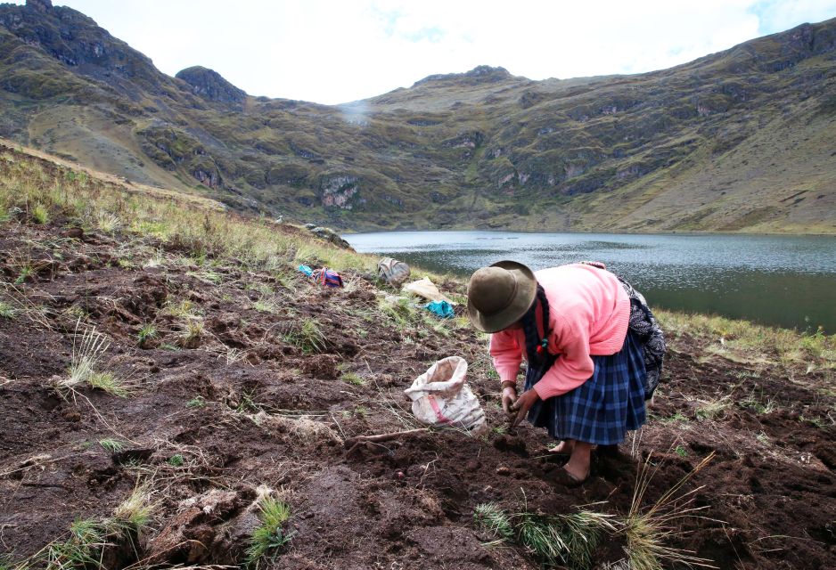 From Cusco: Indigenous Potato Farm Cultural Experience - Experience Highlights