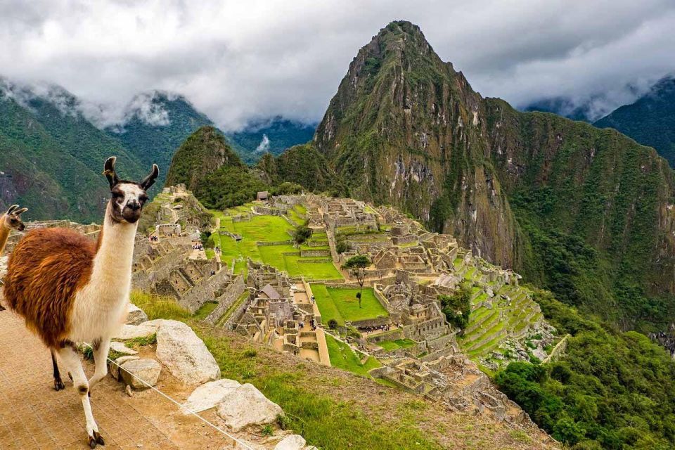 From Cusco: Machu Picchu Citadel Full Day Tour - Tour Experience