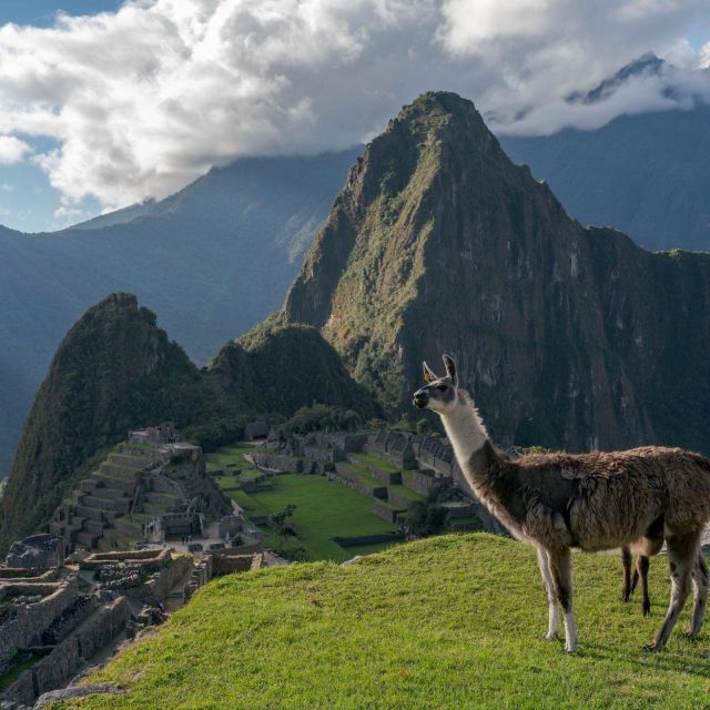 From Cusco : Machu Picchu Huayna Picchu Mountain - Highlights