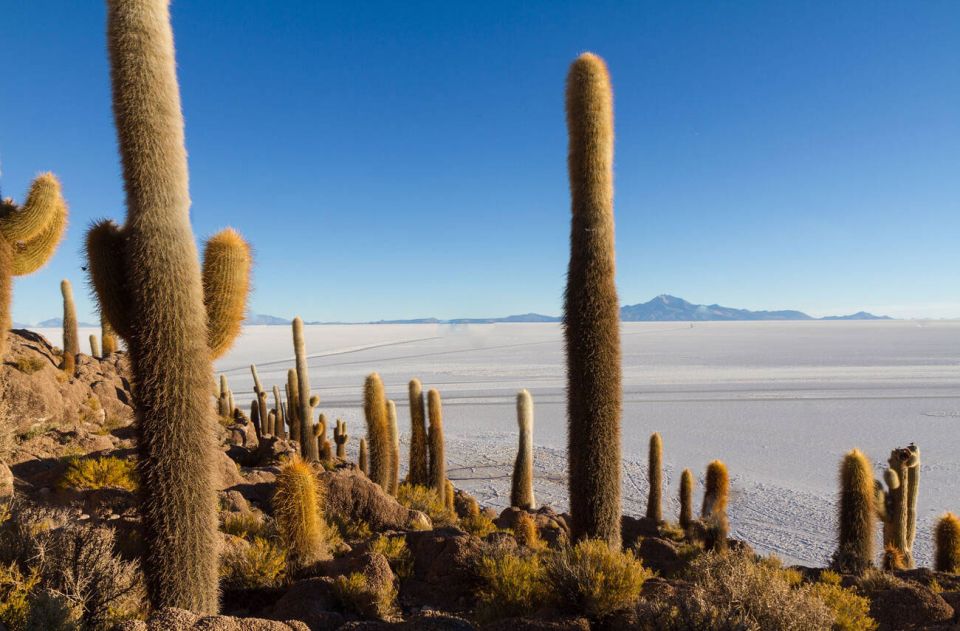From Cusco: Uyuni Salt Flat Tour 3 Days 2 Nights - Common questions