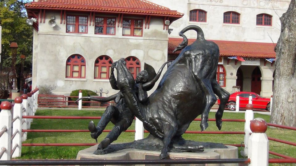 From Dallas: Fort Worth Guided Day Tour - Participant Information