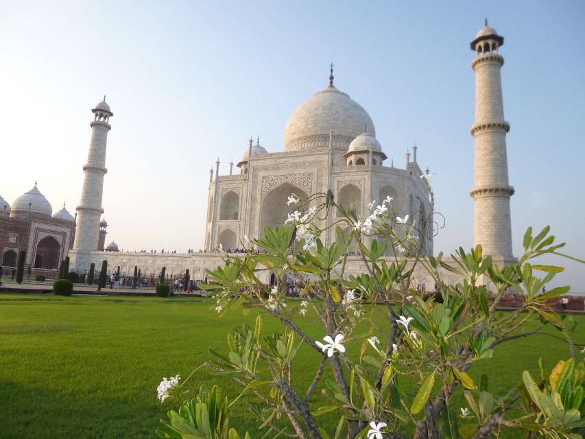 From Delhi: Taj Mahal Sunrise and Agra Fort Private Tour - Full Tour Description