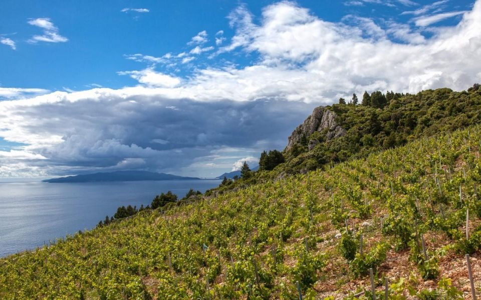 From Dubrovnik Private Wine Tasting Tour - Pickup Locations and Stops