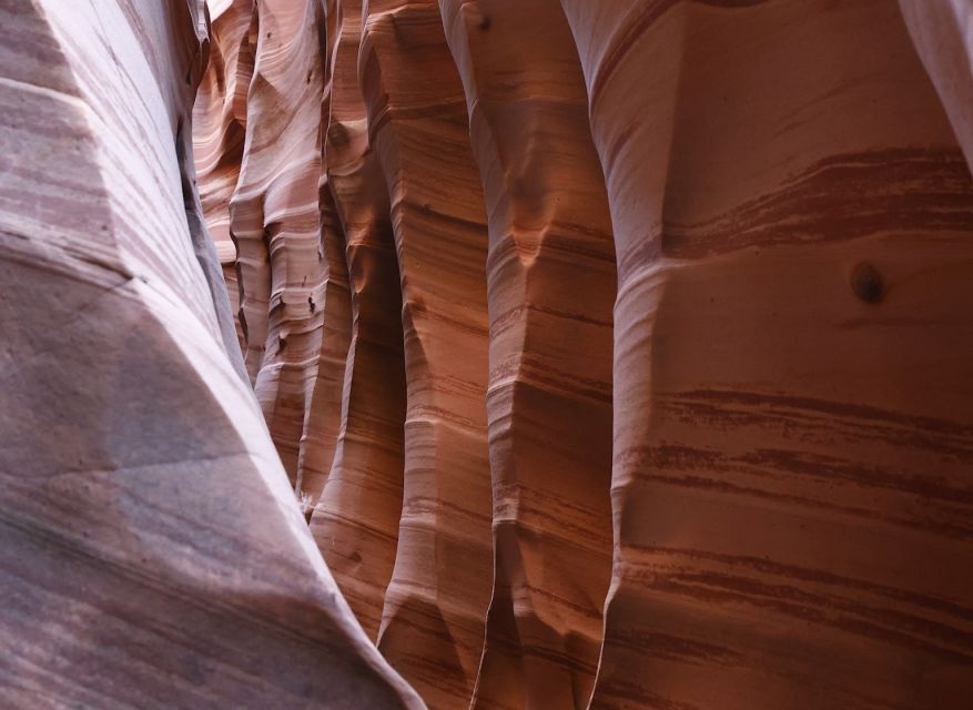 From Escalante: Zebra Slot Canyon Guided Tour and Hike - Participant Information