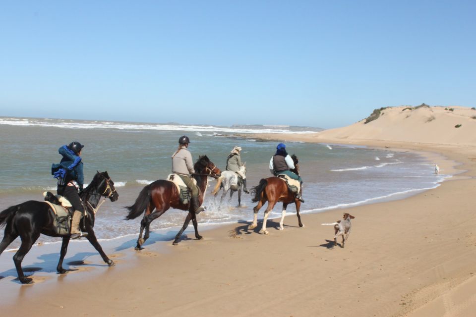 From Essaouira: 1-Hour Horse Ride With Sunset - Location and Logistics