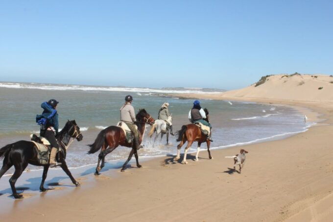 From Essaouira: 1-Hour Horse Ride - Experience Highlights