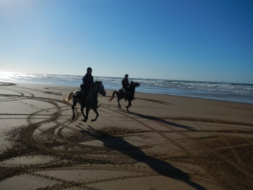 From Essaouira: 2h Horseback Ride With Sunset - Full Description