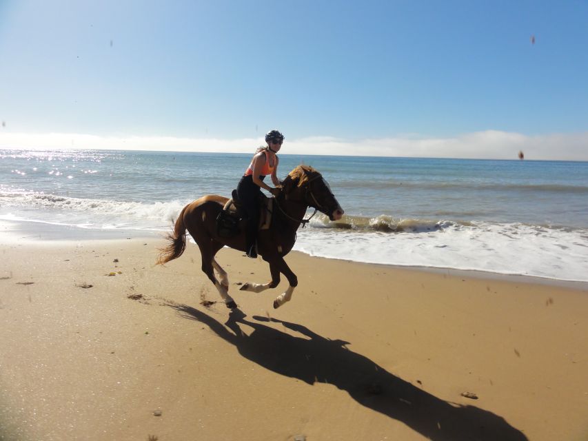 From Essaouira: Horseback Tour With Overnight Berber Camp - Ride Details