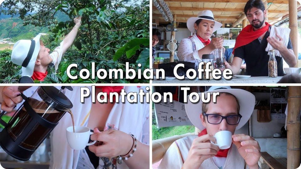 From Farm to Cup: The Ultimate Coffee Tour - Souvenir Shopping Experience