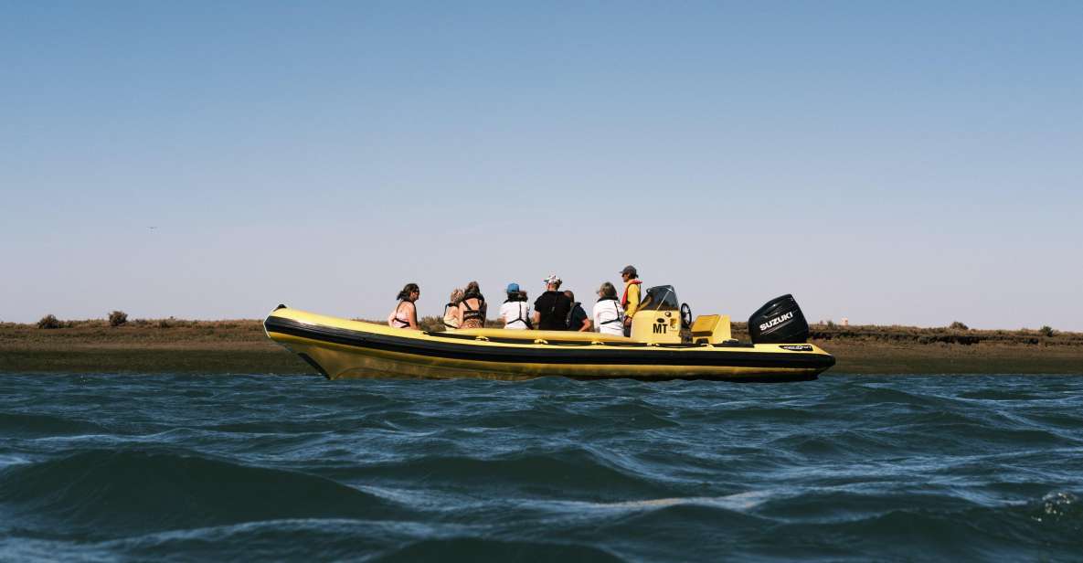 From Faro: Ria Formosa Eco Tour Guided by Marine Biologist - Tour Highlights