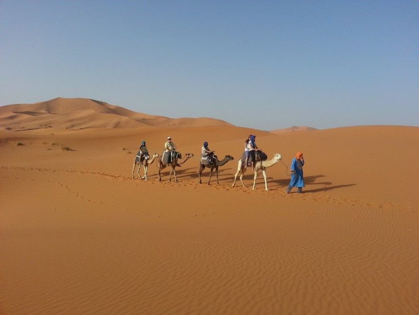 From Fes: 2-Day Desert Tour With Return to Fes or Marrakech - Customer Reviews