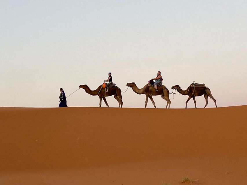 From Fes: 3-Day Luxury Desert Tour to Marrakech via Merzouga - Customer Testimonials and Reviews