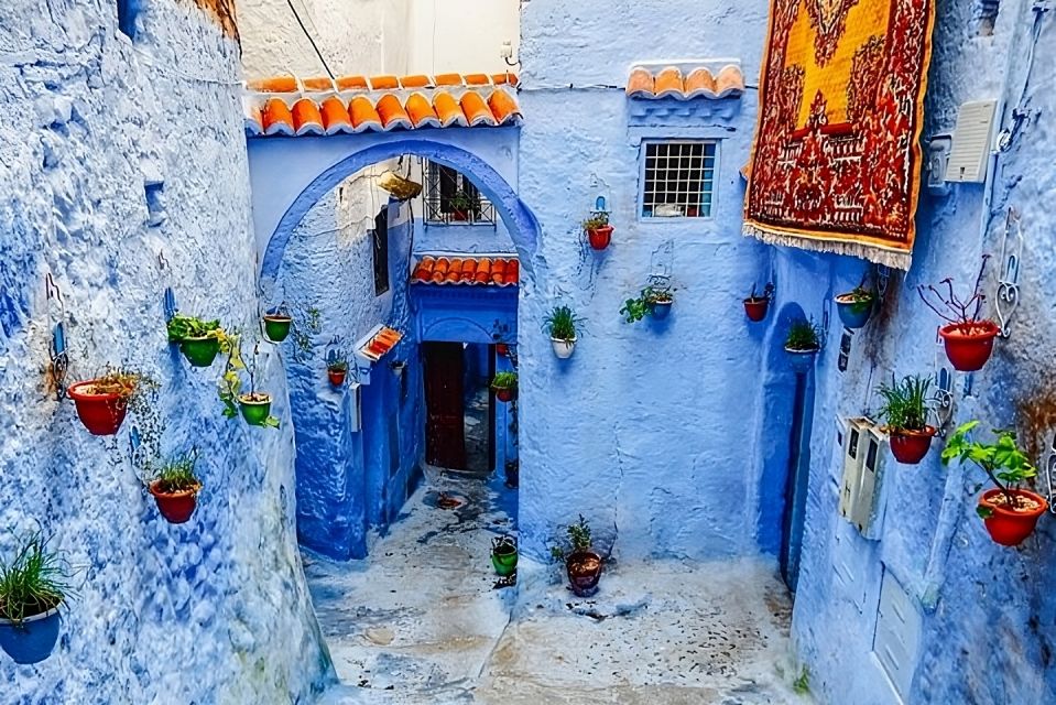 From Fes: Chefchaouen Day Trip With Return Transfers - Trip Highlights