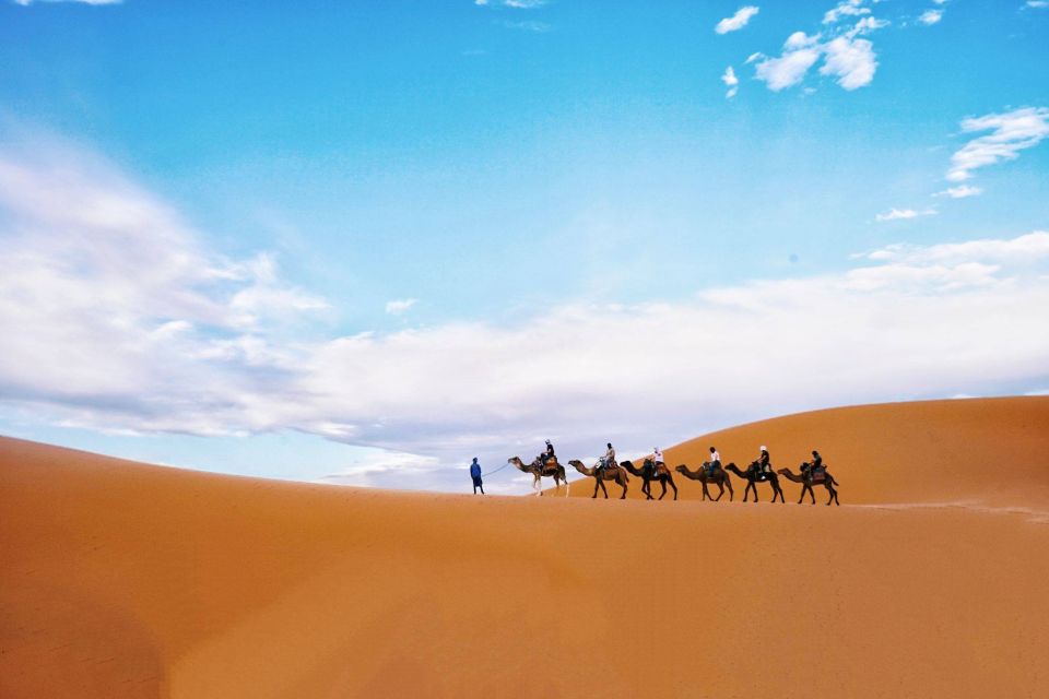 From Fes: Private 2-day Sahara Desert Tour - Customer Reviews