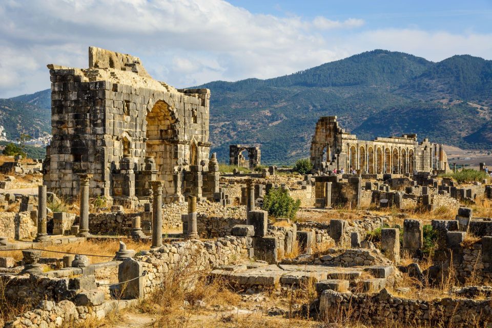 From Fes: Shared Volubilis Moulay Driss and Meknes Day Trip - Duration & Availability