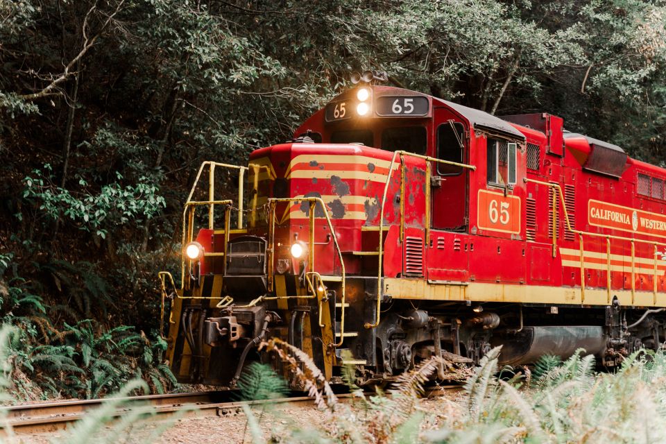 From Fort Bragg: Redwoods Train Ride and Nightclub Ticket - Experience Highlights