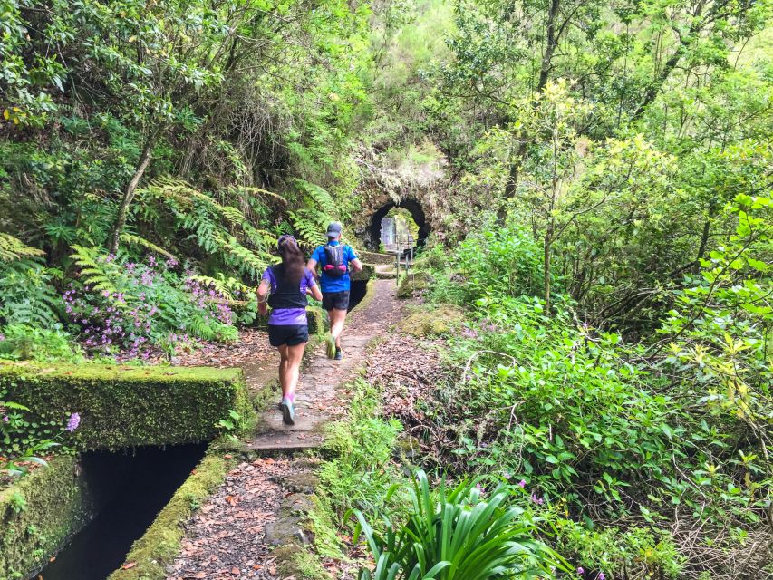 From Funchal: Folhadal Trail Running Tour (Moderate) - Activity Details