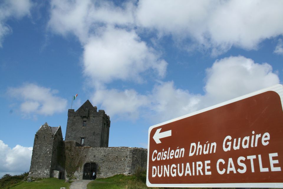 From Galway: Cliffs of Moher and The Burren Full Day Tour - Customer Reviews