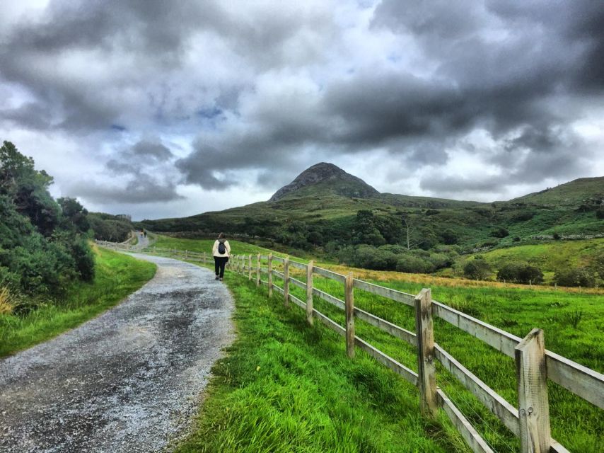 From Galway: Connemara and Connemara National Park Day Trip - Inclusions