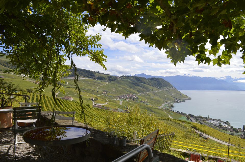 From Geneva: Swiss Riviera Private Tour - Full Itinerary