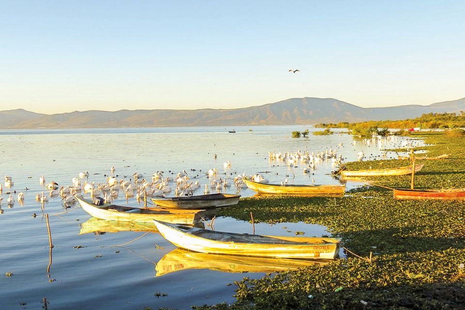 From Guadalajara: Chapala Lake & Ajijic Tour - Tour Itinerary