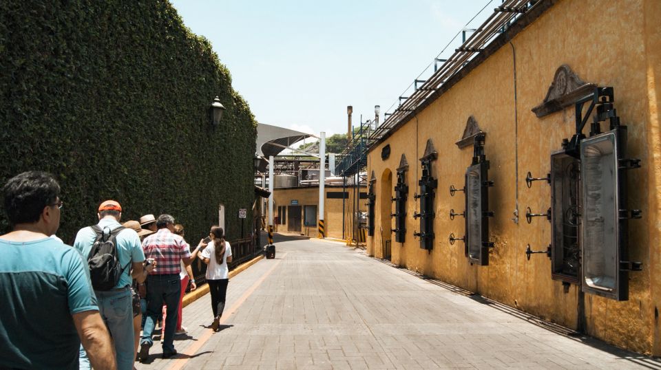 From Guadalajara: Pyramids & Jose Cuervo Tequila Tour - Experience Overview