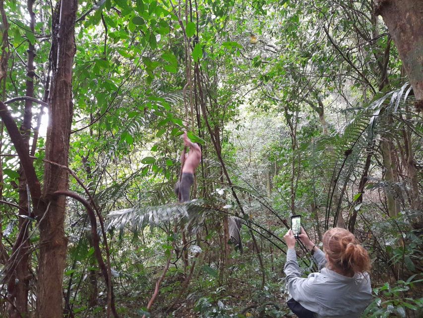 From Ha Noi: Cuc Phuong National Park Full Day Small Group - Tour Experience