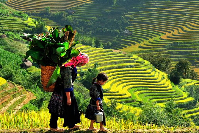 From Hanoi: 2-Day Overnight Sapa Tour by Luxury Van Limousine - Logistics and Meeting Points