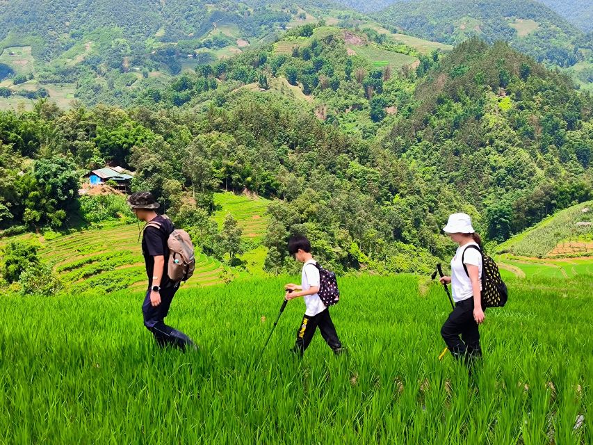 From Hanoi: 2-Day Sapa Trekking Tour With Limousine Transfer - Traveler Testimonials and Feedback