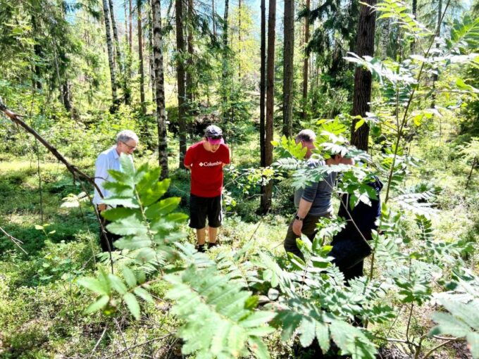 From Helsinki: Hike and Sauna in Sipoonkorpi National Park - Tour Itinerary