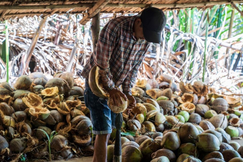 From Ho Chi Minh: Mekong Delta With Ben Tre 1 Day Tour - Location and Booking