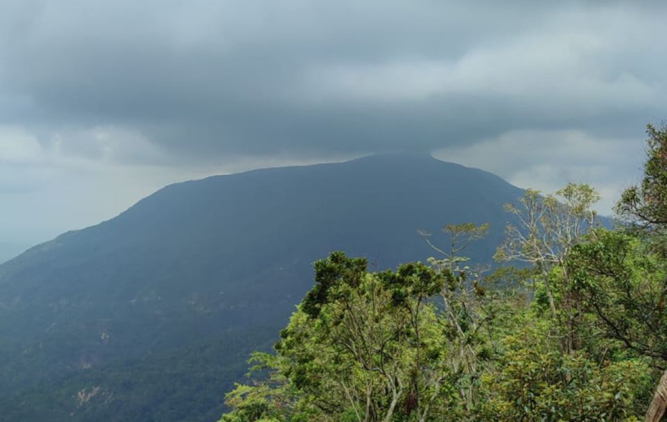 From Huatulco: Coffee and Mezcal Tour - Location Details