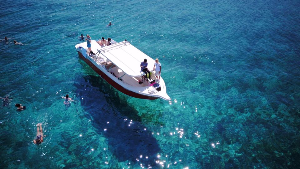 From Hvar: Vis Island and Blue Cave Speedboat Tour - Review Summary