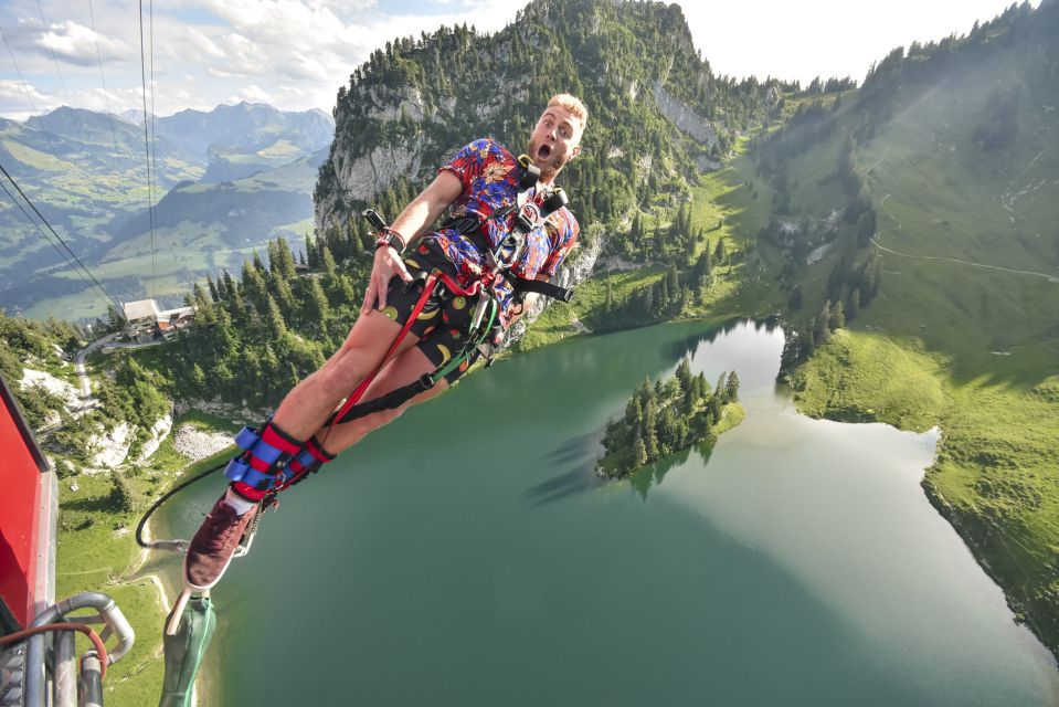 From Interlaken: Stockhorn Bungee Jump - Full Description