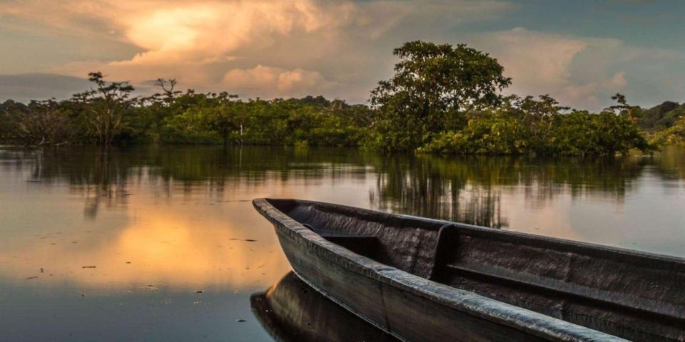 From Iquitos 4 Day Yanayacu River Tour With Bird Watching - Tour Highlights and Unique Species