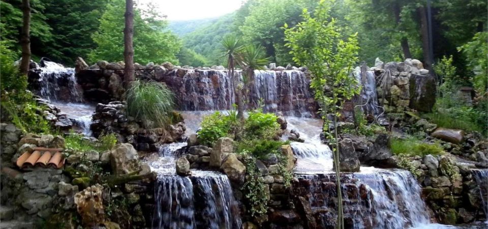 From Istanbul: Sapanca and Masukiye Tour - Darica Zoo