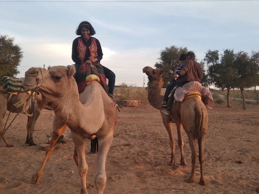 From Jodhpur: Thar Desert Jeep and Camel Safari With Lunch - Full Description