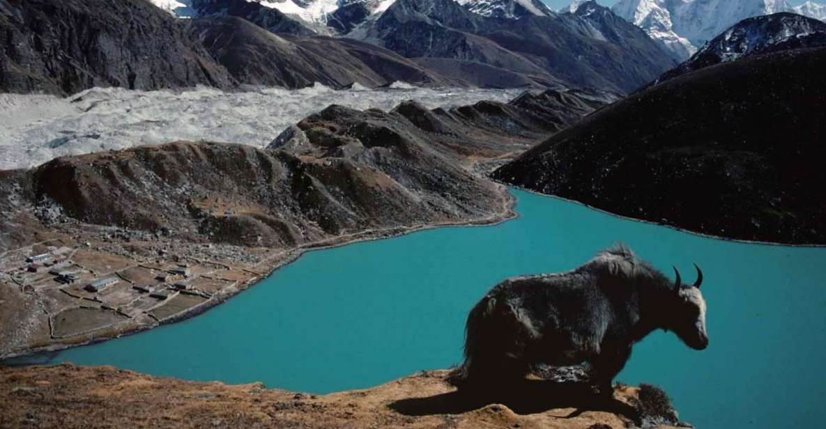 From Kathmandu : 12 Days Gokyo Lakes Trek - Experience Highlights