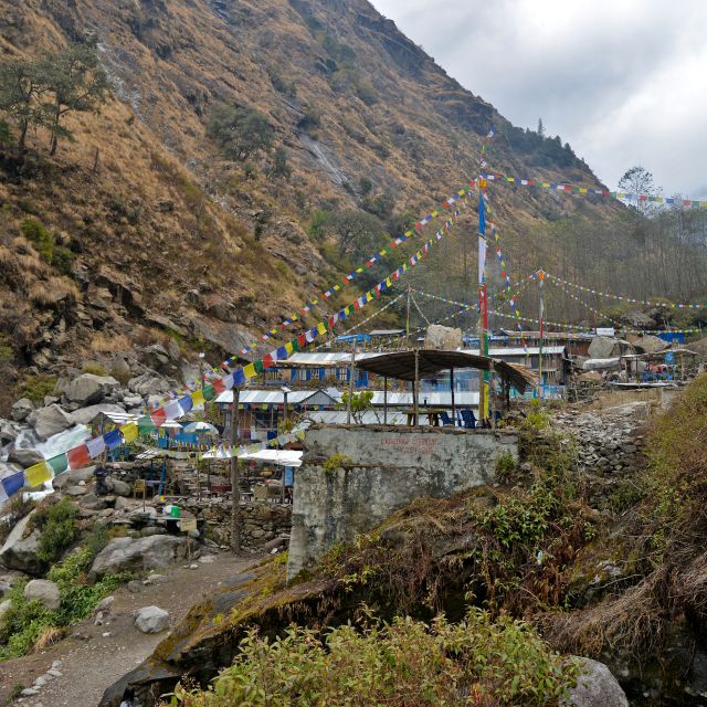 From Kathmandu: 16-Day Langtang Valley Trekking Tour - Experience Highlights